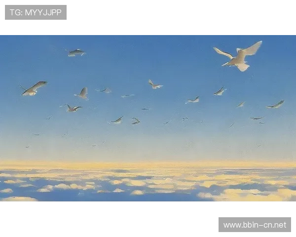 贺希宁：坚韧如鸟，翱翔在平凡与不屈之间的奋斗之路