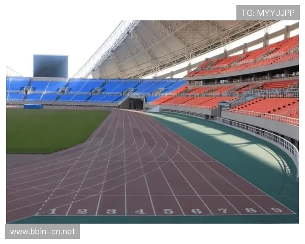 围绕3377体育打造多元化赛事娱乐平台与未来发展新格局探索