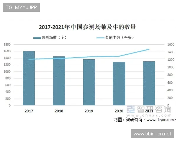 开博体育全面解析与未来发展趋势深度探讨